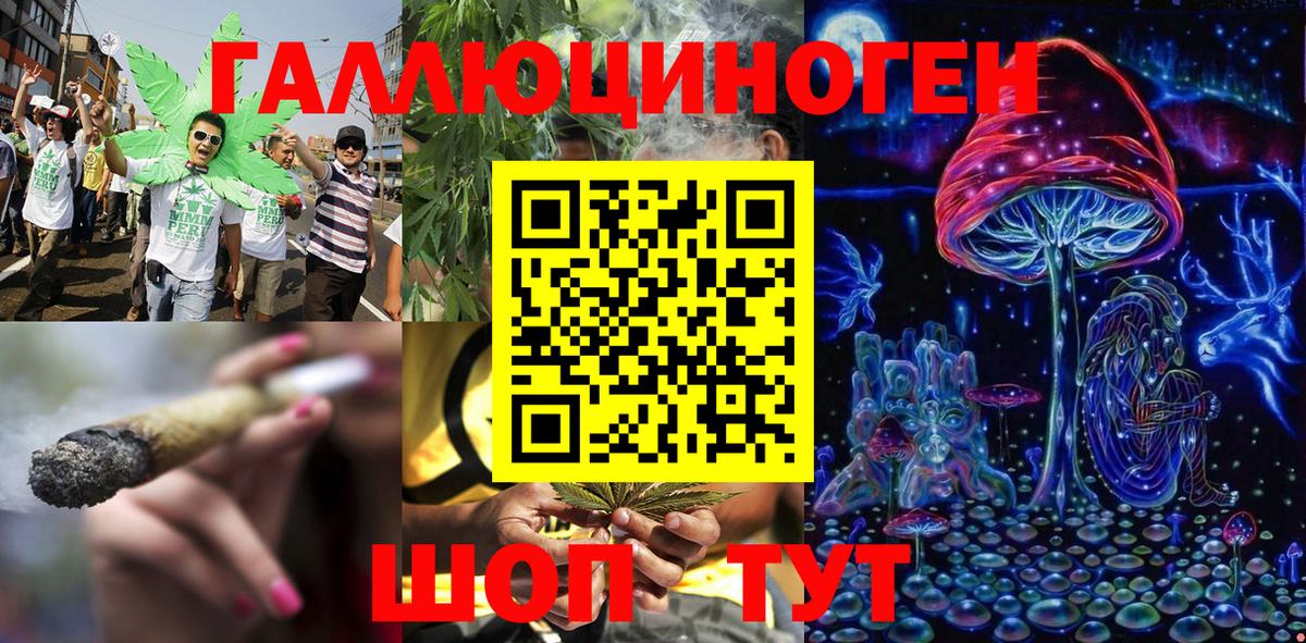 Псилоцибиновые грибы Psilocybe Обнинск