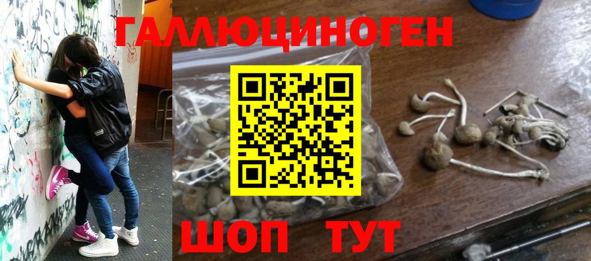 Обнинск  Псилоцибиновые грибы Psilocybine cubensis  Вход с VPN  Псилоцибиновые грибы мухоморы 